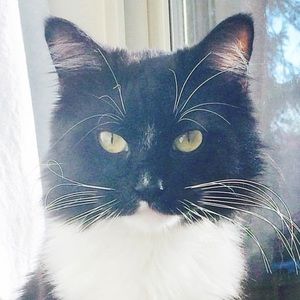 Meet your Posher, Paige